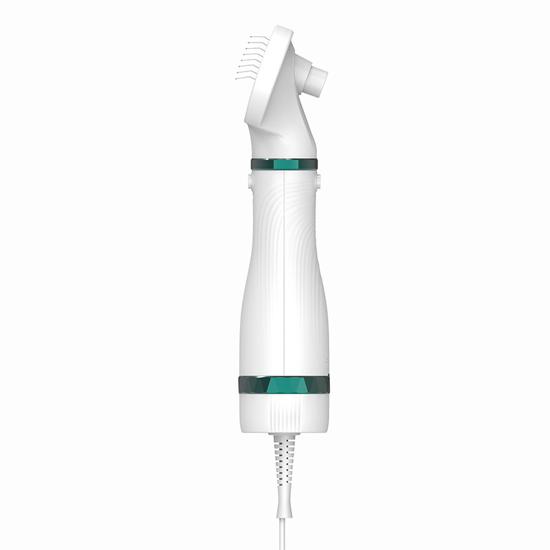 300W Multi-Funktion 3 in 1 Haustierpflege Bläser Geräuscharm Konstante Wind Katze Hund Haustier Haartrockner