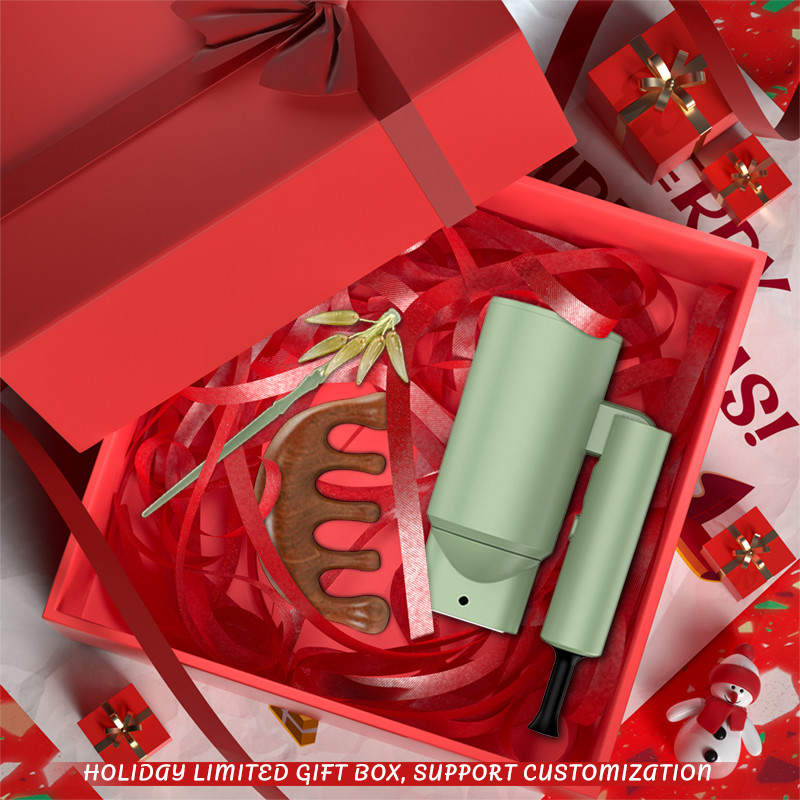 Festgeschenk-Box-Satz kundenspezifischer Haartrockner Curling Wand Set mit 1M Stromkabel Konzentrator Düse