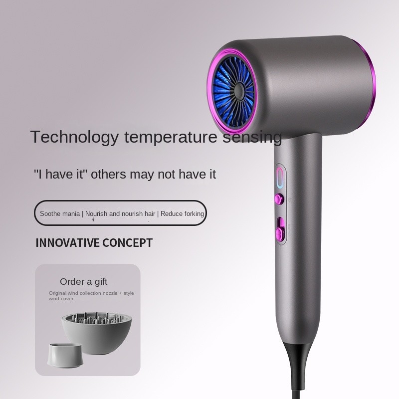 Hohe Leistung 2400W Negativ-Ionen-Haar-Blow-Trockner Salon-Blow-Trockner Heiß-Kalt-Wind Haartrockner Volumizer